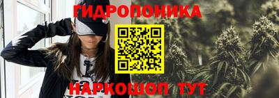 гашик Гай