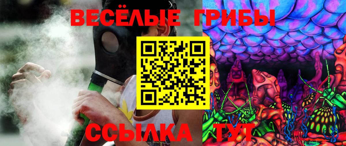 Псилоцибиновые грибы мицелий Грязи