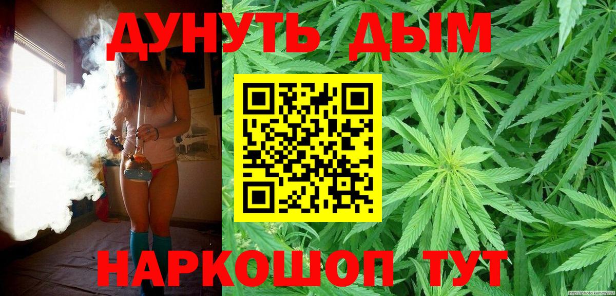 Шишки марихуана сатива Грязи